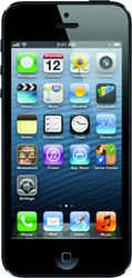 Apple iPhone 5 16GB - Дивногорск