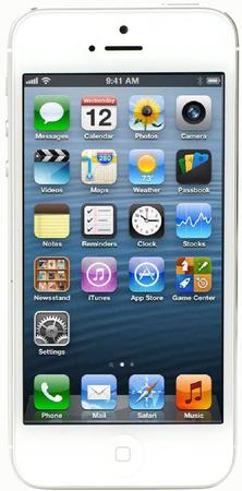 Смартфон Apple iPhone 5 32Gb White & Silver - Дивногорск