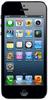 Смартфон Apple iPhone 5 16Gb Black & Slate - Дивногорск